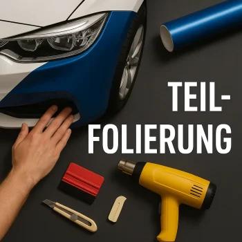 Teilfolierung_Hummel